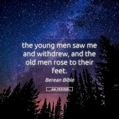 Picture 05 - Job 29:8 BSB - the young men saw me and withdrew, and the old - Bible Verse Picture