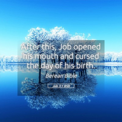 Picture 05 - Job 3:1 BSB - After this, Job opened his mouth and cursed the - Bible Verse Picture