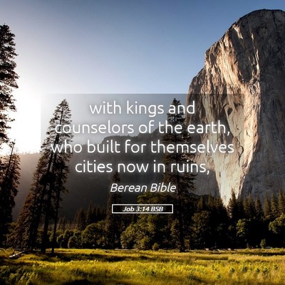 Picture 05 - Job 3:14 BSB - with kings and counselors of the earth, who built - Bible Verse Picture