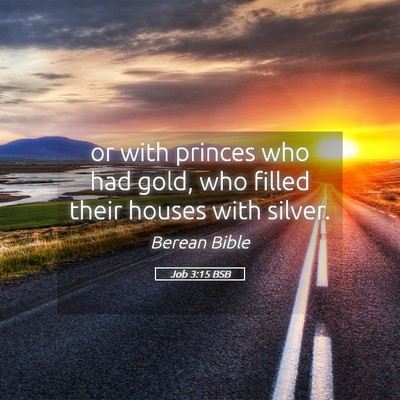Picture 05 - Job 3:15 BSB - or with princes who had gold, who filled their - Bible Verse Picture