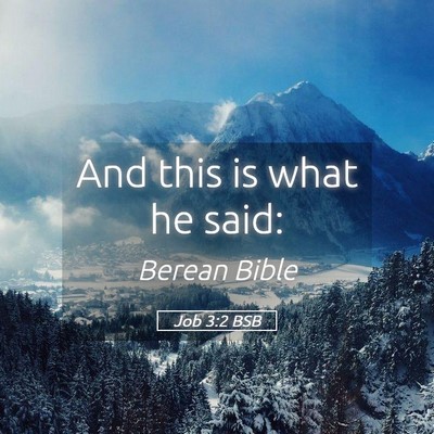 Picture 05 - Job 3:2 BSB - And this is what he - Bible Verse Picture