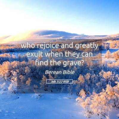 Picture 05 - Job 3:22 BSB - who rejoice and greatly exult when they can find - Bible Verse Picture