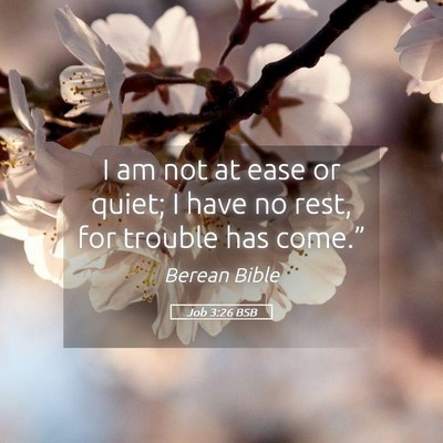 Picture 05 - Job 3:26 BSB - I am not at ease or quiet; I have no rest, for - Bible Verse Picture