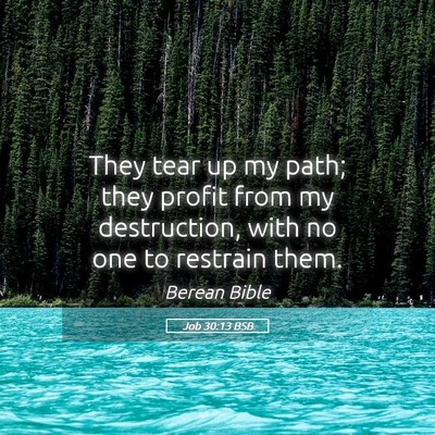 Picture 05 - Job 30:13 BSB - They tear up my path; they profit from my - Bible Verse Picture