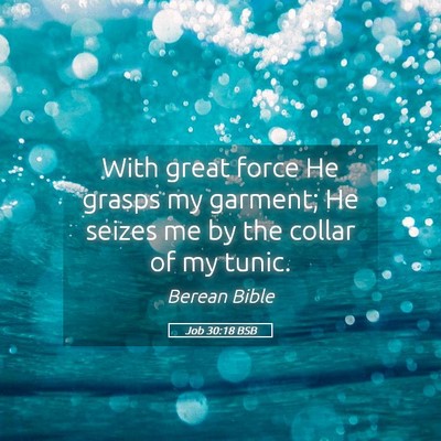 Picture 05 - Job 30:18 BSB - With great force He grasps my garment; He seizes - Bible Verse Picture