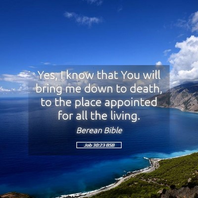 Picture 05 - Job 30:23 BSB - Yes, I know that You will bring me down to death, - Bible Verse Picture
