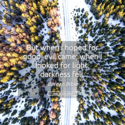 Picture 05 - Job 30:26 BSB - But when I hoped for good, evil came; when I - Bible Verse Picture
