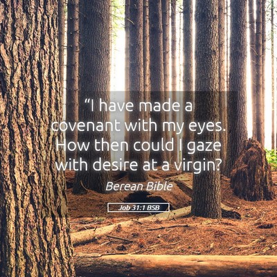 Picture 05 - Job 31:1 BSB - “I have made a covenant with my eyes. How then - Bible Verse Picture