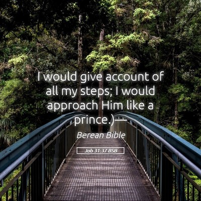 Picture 05 - Job 31:37 BSB - I would give account of all my steps; I would - Bible Verse Picture