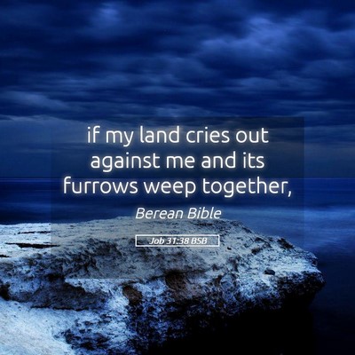 Picture 05 - Job 31:38 BSB - if my land cries out against me and its furrows - Bible Verse Picture