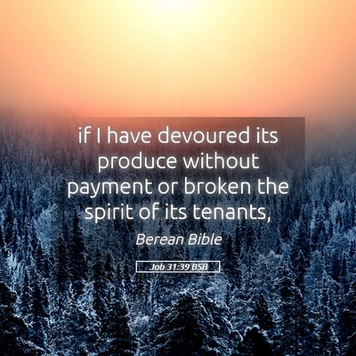 Picture 05 - Job 31:39 BSB - if I have devoured its produce without payment or - Bible Verse Picture