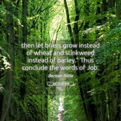 Picture 05 - Job 31:40 BSB - then let briers grow instead of wheat and - Bible Verse Picture