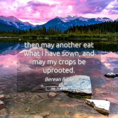 Picture 05 - Job 31:8 BSB - then may another eat what I have sown, and may my - Bible Verse Picture