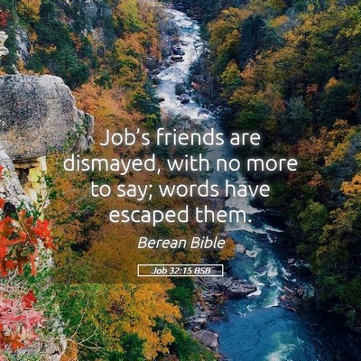Picture 05 - Job 32:15 BSB - Job’s friends are dismayed, with no more to - Bible Verse Picture