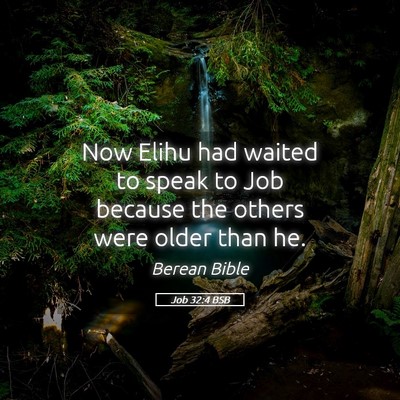 Picture 05 - Job 32:4 BSB - Now Elihu had waited to speak to Job because the - Bible Verse Picture