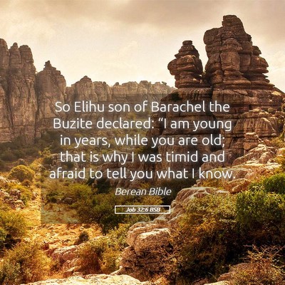 Picture 05 - Job 32:6 BSB - So Elihu son of Barachel the Buzite declared: - Bible Verse Picture