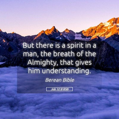 Picture 05 - Job 32:8 BSB - But there is a spirit in a man, the breath of the - Bible Verse Picture