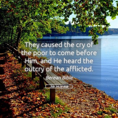 Picture 05 - Job 34:28 BSB - They caused the cry of the poor to come before - Bible Verse Picture