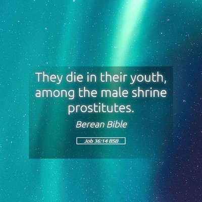Picture 05 - Job 36:14 BSB - They die in their youth, among the male shrine - Bible Verse Picture