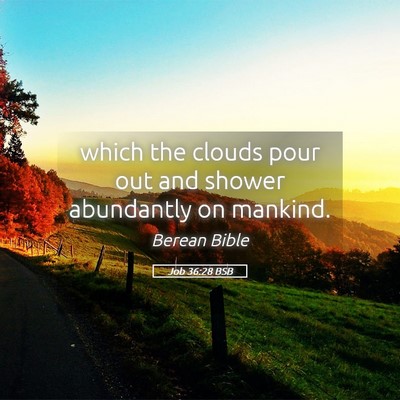 Picture 05 - Job 36:28 BSB - which the clouds pour out and shower abundantly - Bible Verse Picture