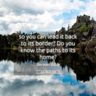 Picture 05 - Job 38:20 BSB - so you can lead it back to its border? Do you - Bible Verse Picture