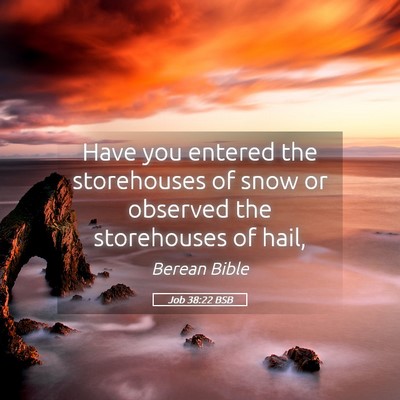 Picture 05 - Job 38:22 BSB - Have you entered the storehouses of snow or - Bible Verse Picture