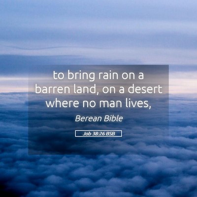 Picture 05 - Job 38:26 BSB - to bring rain on a barren land, on a desert where - Bible Verse Picture