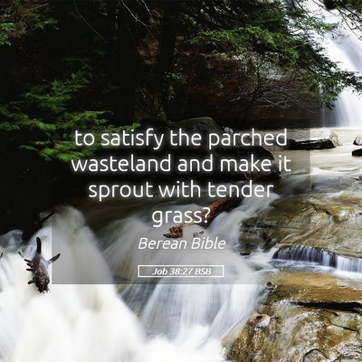 Picture 05 - Job 38:27 BSB - to satisfy the parched wasteland and make it - Bible Verse Picture