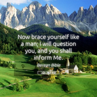 Picture 05 - Job 38:3 BSB - Now brace yourself like a man; I will question - Bible Verse Picture