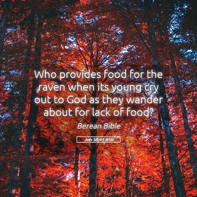 Picture 05 - Job 38:41 BSB - Who provides food for the raven when its young - Bible Verse Picture