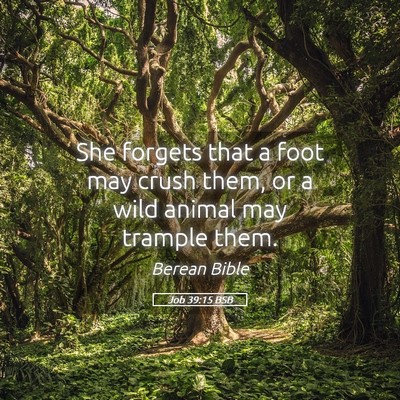 Picture 05 - Job 39:15 BSB - She forgets that a foot may crush them, or a wild - Bible Verse Picture