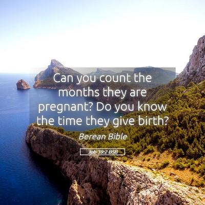 Picture 05 - Job 39:2 BSB - Can you count the months they are pregnant? Do - Bible Verse Picture
