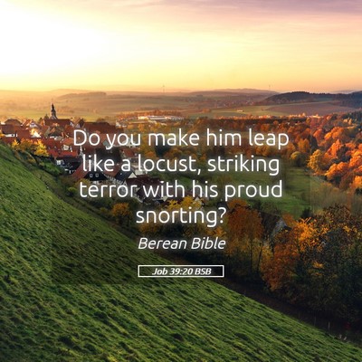 Picture 05 - Job 39:20 BSB - Do you make him leap like a locust, striking - Bible Verse Picture