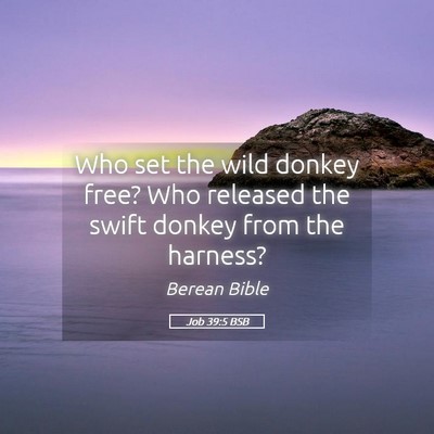 Picture 05 - Job 39:5 BSB - Who set the wild donkey free? Who released the - Bible Verse Picture