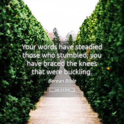 Picture 05 - Job 4:4 BSB - Your words have steadied those who stumbled; you - Bible Verse Picture