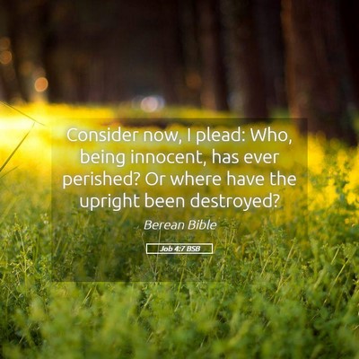 Picture 05 - Job 4:7 BSB - Consider now, I plead: Who, being innocent, has - Bible Verse Picture