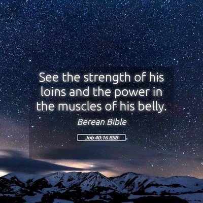 Picture 05 - Job 40:16 BSB - See the strength of his loins and the power in - Bible Verse Picture