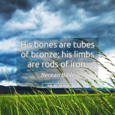 Picture 05 - Job 40:18 BSB - His bones are tubes of bronze; his limbs are rods - Bible Verse Picture