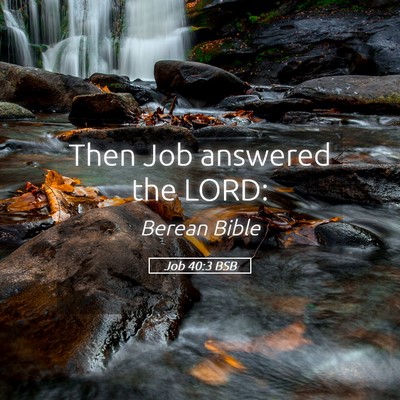 Picture 05 - Job 40:3 BSB - Then Job answered the - Bible Verse Picture