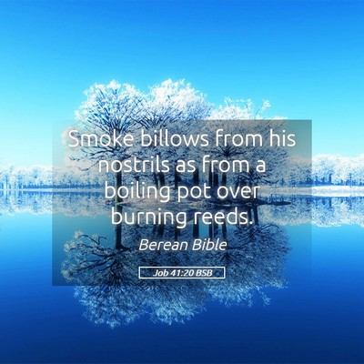 Picture 05 - Job 41:20 BSB - Smoke billows from his nostrils as from a boiling - Bible Verse Picture