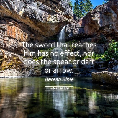 Picture 05 - Job 41:26 BSB - The sword that reaches him has no effect, nor - Bible Verse Picture