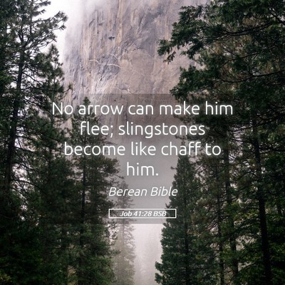 Picture 05 - Job 41:28 BSB - No arrow can make him flee; slingstones become - Bible Verse Picture