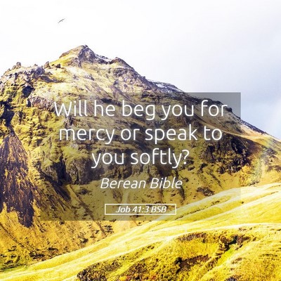 Picture 05 - Job 41:3 BSB - Will he beg you for mercy or speak to you - Bible Verse Picture