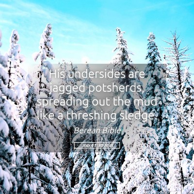 Picture 05 - Job 41:30 BSB - His undersides are jagged potsherds, spreading - Bible Verse Picture