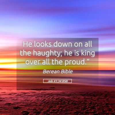 Picture 05 - Job 41:34 BSB - He looks down on all the haughty; he is king over - Bible Verse Picture