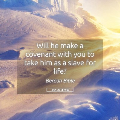 Picture 05 - Job 41:4 BSB - Will he make a covenant with you to take him as a - Bible Verse Picture