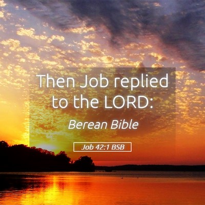 Picture 05 - Job 42:1 BSB - Then Job replied to the - Bible Verse Picture
