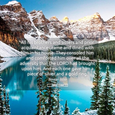 Picture 05 - Job 42:11 BSB - All his brothers and sisters and prior - Bible Verse Picture
