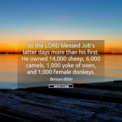 Picture 05 - Job 42:12 BSB - So the LORD blessed Job’s latter days more than - Bible Verse Picture