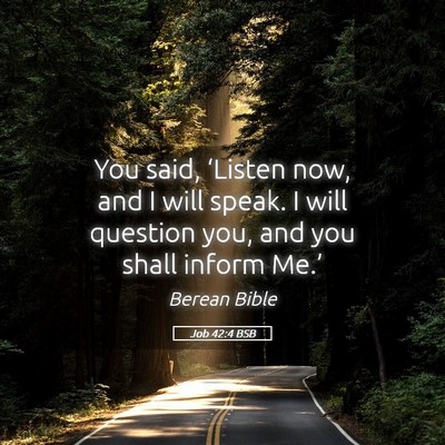 Picture 05 - Job 42:4 BSB - You said, ‘Listen now, and I will speak. I will - Bible Verse Picture